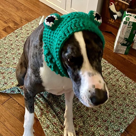 Crochet Frog Dog Hat - Picture 2 of 2